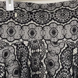 Paper Crane Womens Lace Skater Mini Skirt Coquette Whimsigoth Floral Sz Small thumbnail 4
