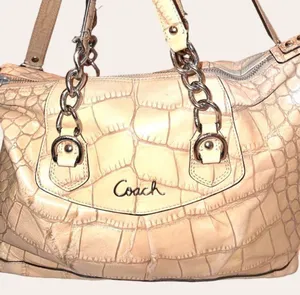 Coach Ashley Croc Embossed Bag thumbnail 1