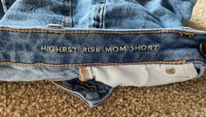 American Eagle Outfitters Mom Shorts thumbnail 3