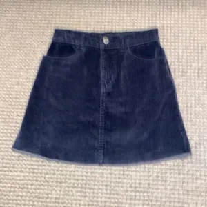 Brandy Melville/John Galt Corduroy Skirt (small) thumbnail 4