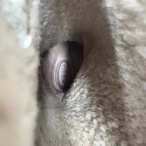 Keen Stockholm Brown Leather Faux Shearling Lined Winter Boots Womens Size 6.5 thumbnail 6