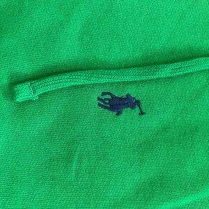 NWT POLO RALPH LAUREN Pony Zip Hoodie thumbnail 3