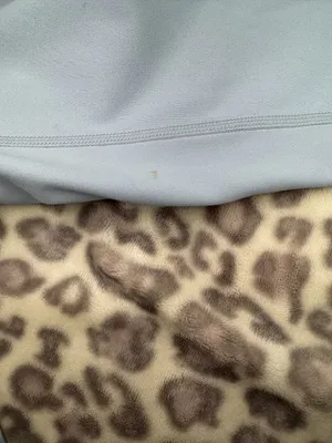 SET Active Luxform Leggings (XS) thumbnail 5