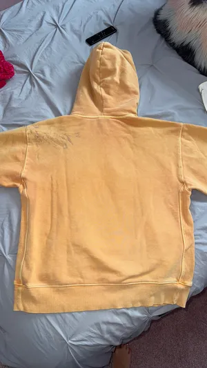 Aritzia Sweatshirt thumbnail 4