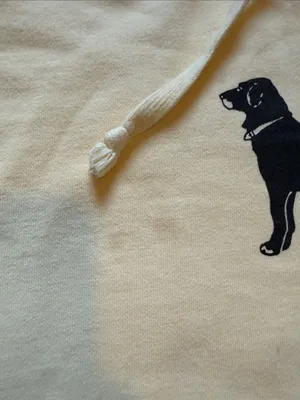 The Black Dog Pale Yellow Pullover Hoodie with Black Dog Logo thumbnail 2