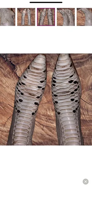 Cream Color Ankle Boots thumbnail 7