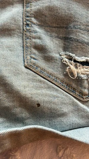 American eagle Jean shorts with flower embroidery thumbnail 3