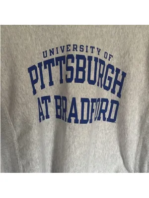 Champion University of Pittsburgh at Bradford Crewneck Sweatshirt Grey Size M thumbnail 3