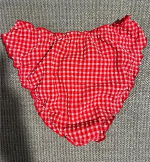 Wild Fable Red Gingham Bikini Bottoms thumbnail 1