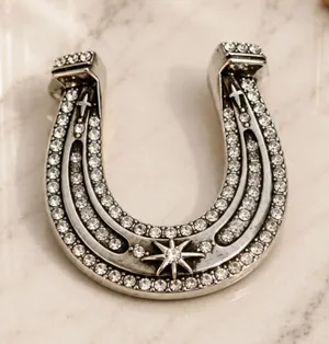 NEW Silver Horseshoe Rhinestone Brooch Lucky Statement Pin Bag Charm thumbnail 1