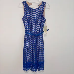 Eliza J lace eyelet belted Patterned Dress blue nude‎ size 6 thumbnail 2