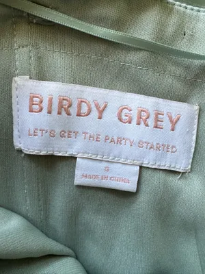 Birdy Grey Chiffon Gigi Dress Jumpsuit thumbnail 13