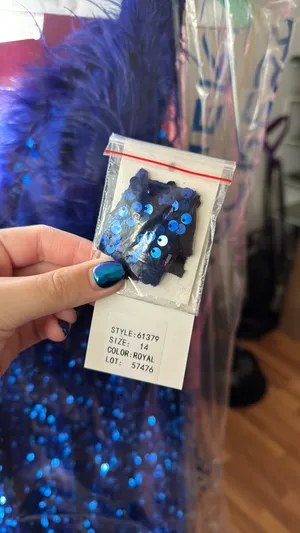 Alyce Paris Prom Dress thumbnail 4
