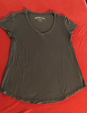 Aeropostale seriously soft grey v-neck short sleeve t-shirt Size Small thumbnail 1