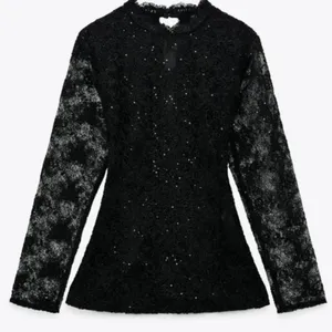 Zara Sequin Lace‎ Top thumbnail 3