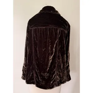 Free People Marianne Velvet Shirt Midnight Brown Dark Academia Gothic Blouse XS thumbnail 3