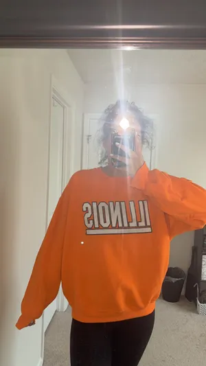 Gildan Embroidered University of Illinois Crewneck thumbnail 2