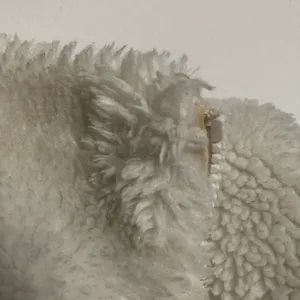 Alo Foxy Sherpa Jacket Ivory XS thumbnail 6