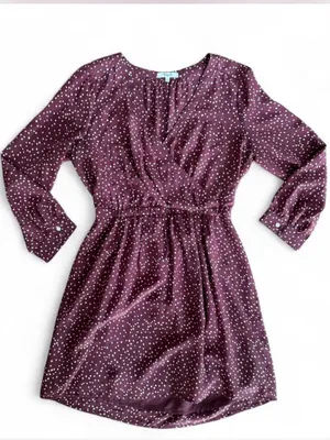 Madewell 6 Medium Mini Dress Long Sleeve Burgundy white polka dots Silk Babydoll thumbnail 1