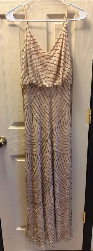 Adrianna Papell Nude Beaded V-Neck Evening Gown thumbnail 1
