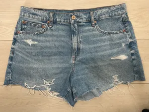 American Eagle Outfitters 90s Boyfriend Shorts thumbnail 1