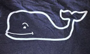 Vineyard Vines Hoodie thumbnail 4