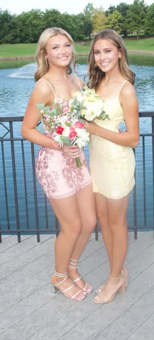 Homecoming Windsor Dress Sequin pink thumbnail 2