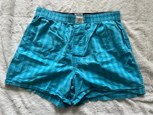 American Eagle Shorts thumbnail 1