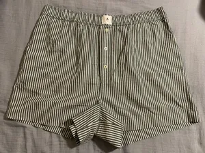 The Wren Boxer Anthropologie Shorts thumbnail 1