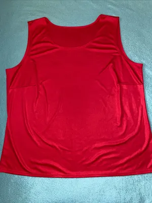 ALFRED DUNNER 2 pc button up 3/4 sleeve semi sheer, matching tank top size 16 thumbnail 7