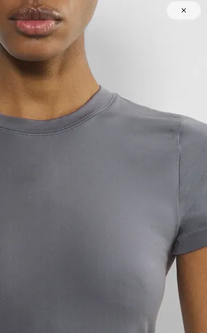 Smooth Seamless Aritzia Willow T-Shirt thumbnail 3