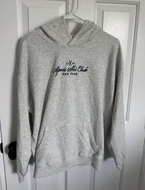 Hollister Light Grey Hoodie thumbnail 1