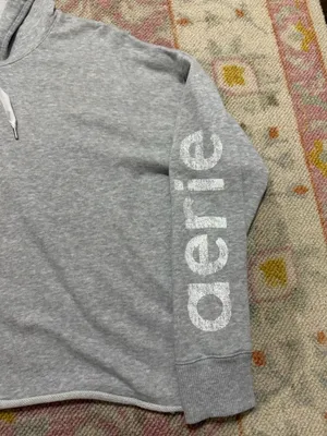 Aerie Hoodie thumbnail 2