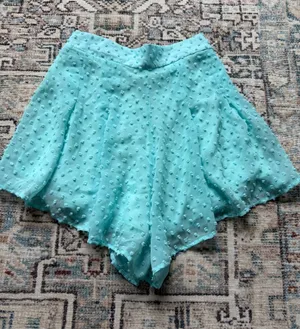Lucy in the Sky Aqua Green Flowy Shorts Elastic Waist Lined Textured Lightweight Women’s XS/S thumbnail 1