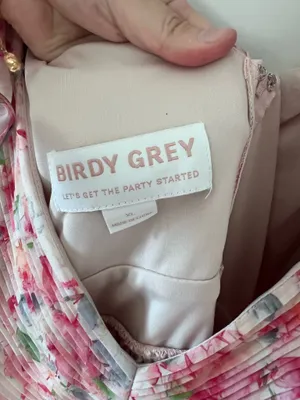 Birdy Grey Dress thumbnail 3