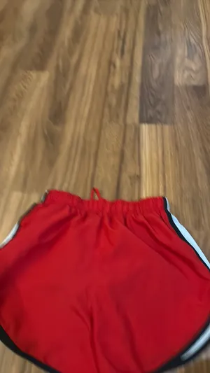Nike shorts  thumbnail 2