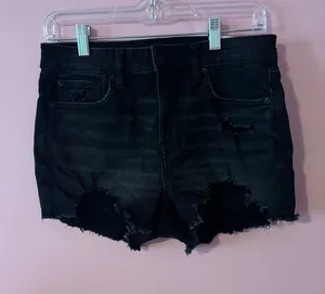 American Eagle Shorts thumbnail 1