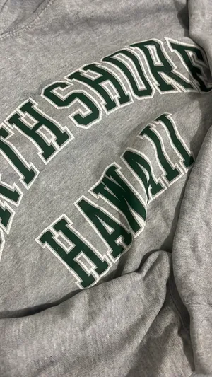 Brandy Melville hoodie thumbnail 3