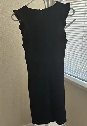 Zara Trafuluc black ruffle sleeves dress thumbnail 3