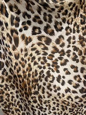 Le Lis Leopard-Print Slip Dress in Tan and Black thumbnail 4