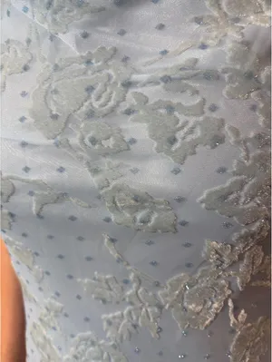 Light Blue Rose Floral Velvet Ruffle Japanese Vintage Formal Coquette Dress thumbnail 7