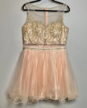 Dancing Queen Pink Rhinestone Embroidered Fairy Balletcore Formal Prom Tule‎ Dress XXL Prom thumbnail 1