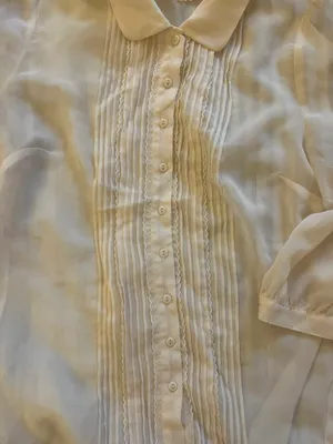 Pins & Needles Sheer Top thumbnail 2