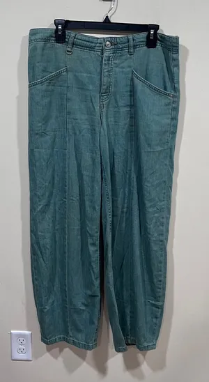 Free People We The Free Moonflower Pull-On Balloon Jeans size 29 EUC thumbnail 1