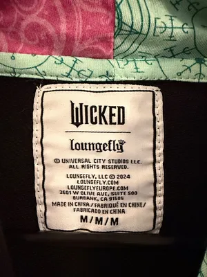Loungefly Wicked Elphaba & Glinda Split‎ Unisex Hoodie Medium thumbnail 4