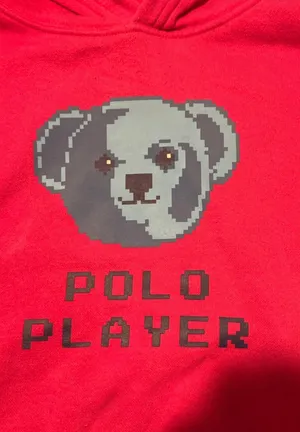 Polo Bear Hoodie thumbnail 2