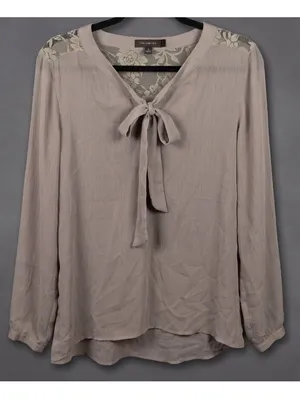 The Limited Taupe Sheer Chiffon Blouse Lace Yoke Tie Neck Long Sleeve Size XL thumbnail 1