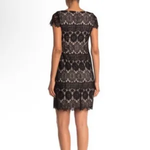Eliza J Sheath Dress Womens 8 Navy Lace Wedding Guest Formal Feminine Romantic thumbnail 3