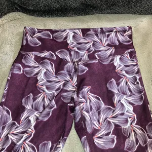 🔹4 for $30 C9 by Champion Floral Crops, Large thumbnail 3