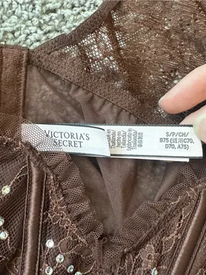 Victoria's Secret Brown Lace Long-Sleeve Corset Crop Top with Studs thumbnail 4